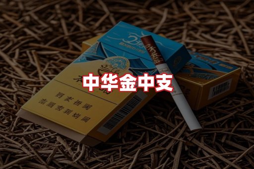中华金中支